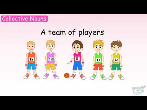 Collective Nouns | English Grammar | Grade 2 & 3 | Tutway