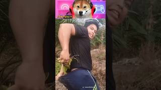 Orang Ini Masukin Sarang Semut Dalam Celana