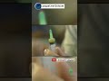 سرعة مرعبة كيف يؤثر سم الأفاعي على الدم بضراوة فائقة 