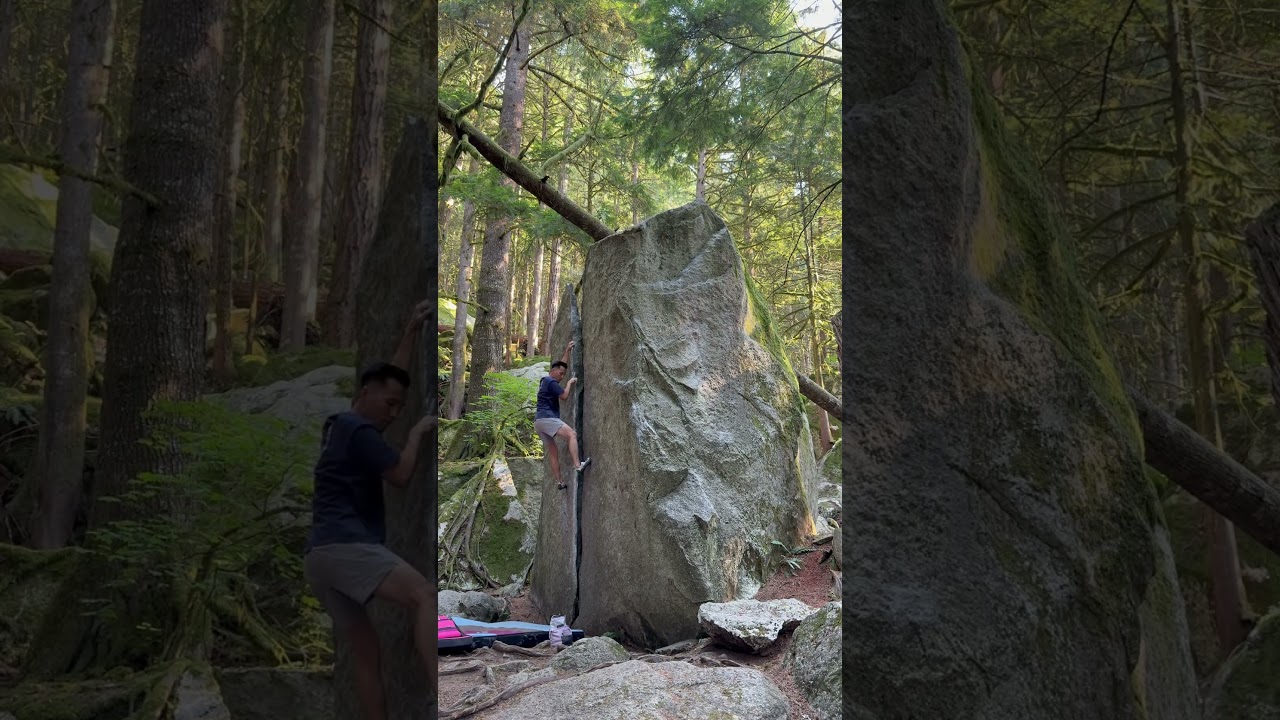 Detached Flake V1 | Squamish