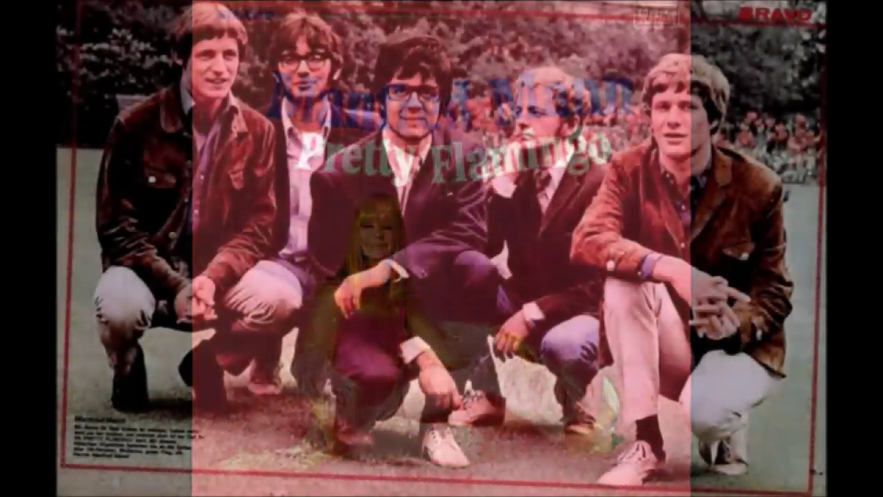 Manfred Mann's Pretty Flamingo Acapella Cover with lyrics