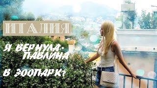 Отдых в Италии. Что купить в Италии. Как выглядит павлин?