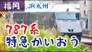 【JR九州】787系 特急「かいおう」平和町１号踏切（20201227）