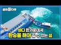 바다 한가운데서 위험천만한 환승을 해야만 갈 수 있다🌊 쾌속선과 마을 도선이 접선해서 승객들을 태우고 가는 섬마을, 만재도의 매력ㅣ#골라듄다큐