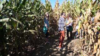 What Happened to the Barn! Bash PROMO