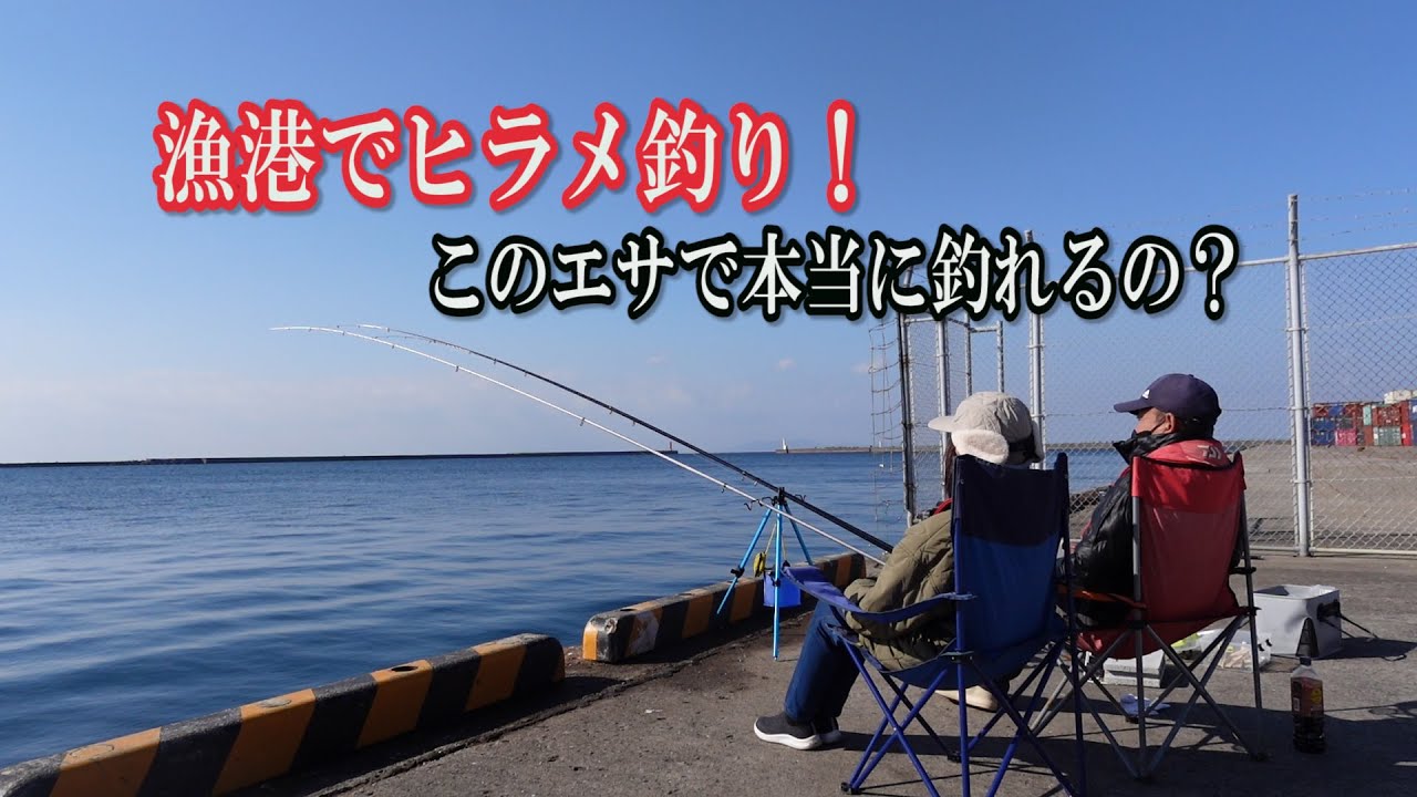 アジが入手出来なくて、どこでも簡単に釣れるあの魚をエサにしたら。。