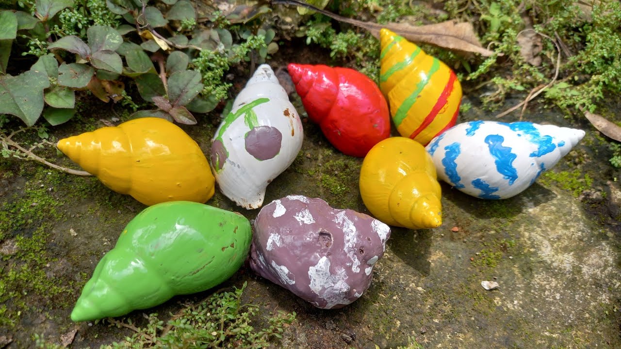 WOW😁 HUNTING SNAIL RAINBOW🌈MENCARI SIPUT BEKICOT, KEPITING, LUWING, SIPUT JERUK RUMAH SIPUT