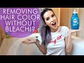 Removing Hair Color WITHOUT Bleach!? | Hair Experiment | LeighAnnSays