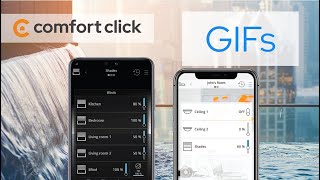 Celebrity How to Use GIFs in Your Visualization Net Worth