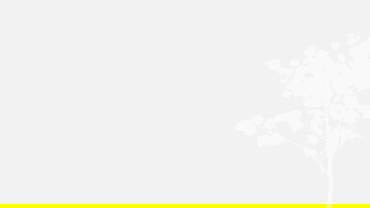 Avaliação Somativa SEAMA 2025 - Mentoria