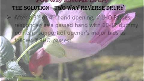 Tip 2013-3-8 Two Way Reverse Drury