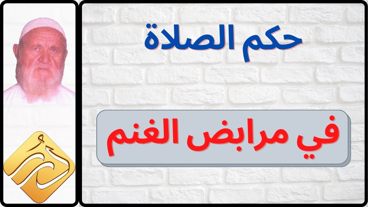 الشيخ الألباني ما حكم الصلاة في مرابض الغنم