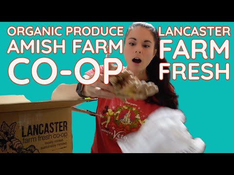 Unboxing Organic Produce from Amish Farm Co-Op: Lancaster Farm Fresh! + Coupon Code