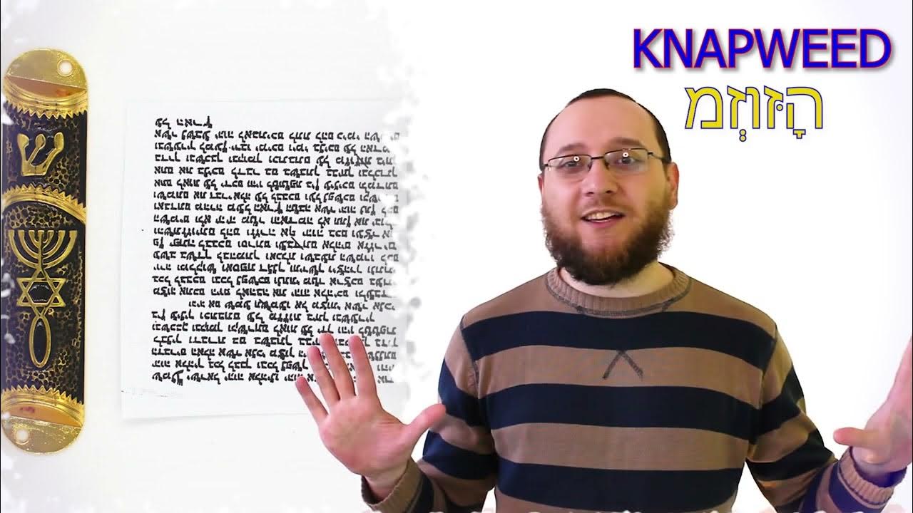 Мезуза (מְזוּזָה) ? Что такое мезуза? История создания мезузы. Зачем ...