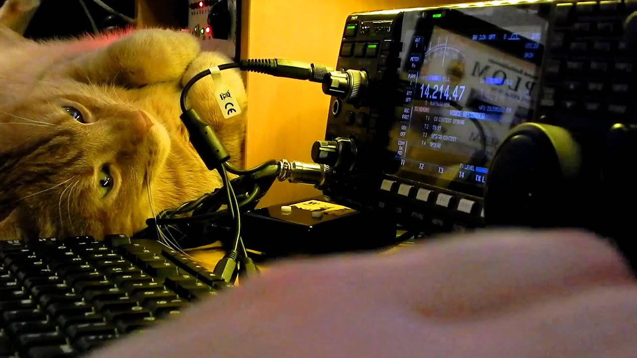 CQWW SSB 2015 K3ZO + a CAT failure ;-) (ham radio, krótkofalarstwo)