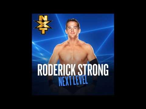 2017: Roderick Strong 2nd  New WWE Theme Song  quot;Next Levelquot;  YouTube