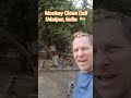 🇮🇳  MONKEY "ATTACK" Udaipur, India  #crazyindia #udaipur #monkeyindia #rajasthantravel #indiatourism