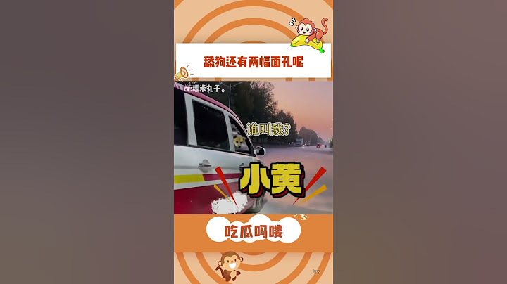 笑死了 舔狗还有两幅面孔呢#万万没想到 #狗狗 #狗狗的心思都写在脸上了 #搞笑 #狗子成精了#shorts