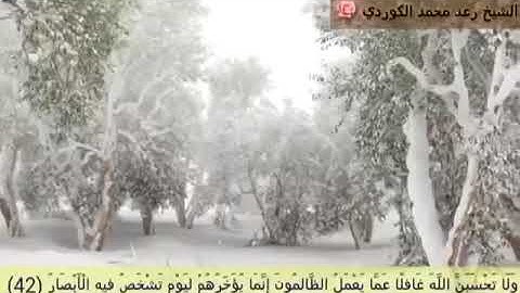 "ولاتحسبن الله غافلا عما يعمل الظالمون" دقيقتين من الإبداع للقارئ رعد الكردي.