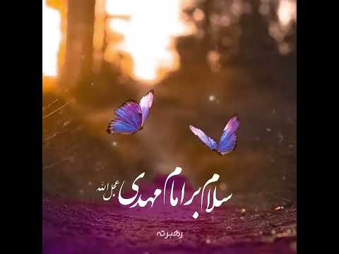سلام بر امام مهدی عج