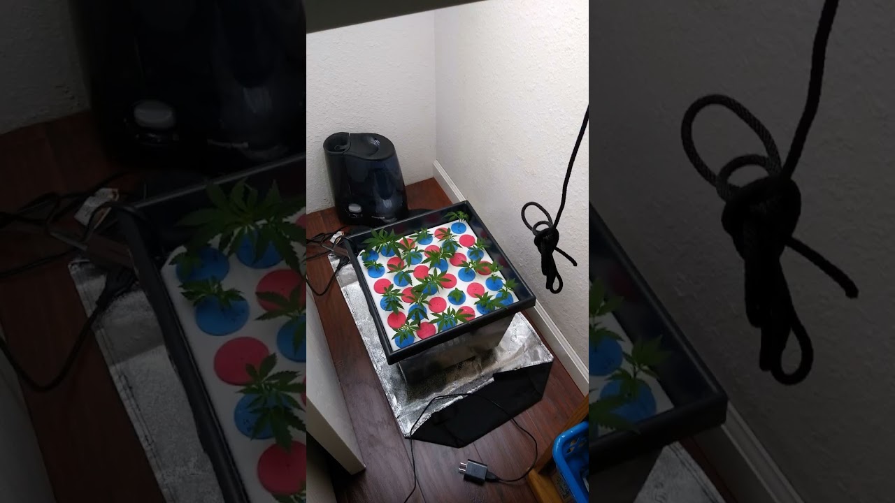 8x4 grow tent quick look