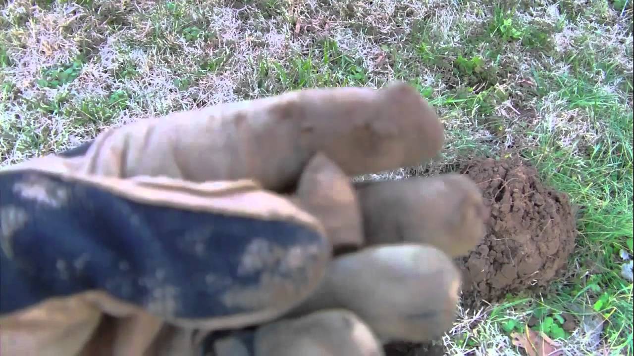 Kentucky Dirt Fishing #38 A New Spot