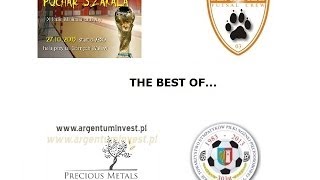 Puchar Szakala (27.10.2013) - The Best Of...