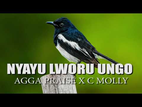 Nyayu Lworu Ungo By Agga Praise X C Molly Mak Cinga Ipeya Alur Gospel Music