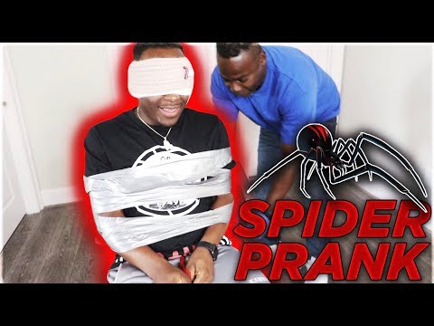 extreme-spider-prank-|-the-prince-family