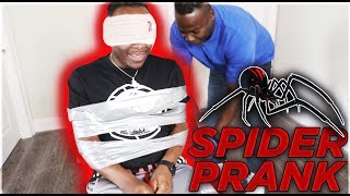 EXTREME SPIDER PRANK | THE PRINCE FAMILY screenshot 5