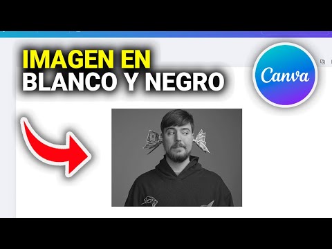 Cómo Poner una