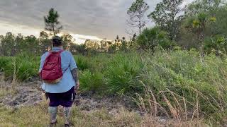 Searching for the Skunk Ape...
Our research team are working on a recently reported sighting by 2 witnesses. I heard earlier distant knocks and tried to get a response. Searching for the Skunk Ape...