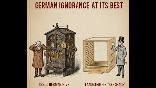 German ignorance at its best - The Beespace