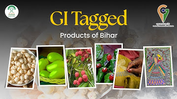 Bihar’s Pride: Exploring the Famous GI Tags | Shahi Litchi, Madhubani Art & More