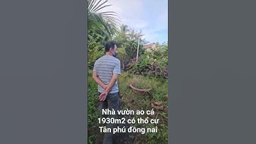 nhà vườn ao cá có thổ cư bình yẻn quá ở tân phú đồng nai #dangtrongnhanbds