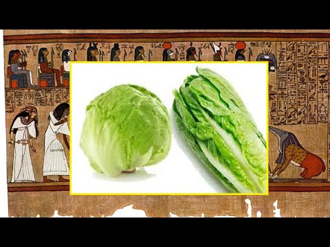 Where Does Most Of The Us Lettuce Come From