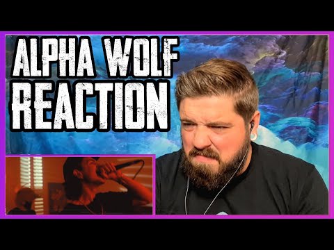 Alpha Wolf - Restricted (R18+)(Reaction)