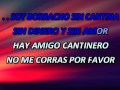BORRRACHO SIN CANTINA VICENTE FERNANDEZ KARAOKE SAUL NAVA