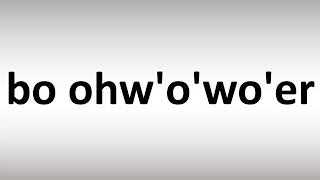 How to Pronounce BO'OH'O'WO'ER