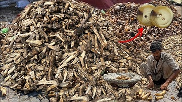 Incredible Process of Recycling Animal Bones and Manufacturing Bone Buttons