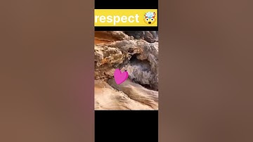 omg😱😳🤯#shorts #short