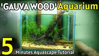 Aquascape Tutorial:GAUVA wood Aquarium(How To Setup cheap and easy planted tank for beginners)
