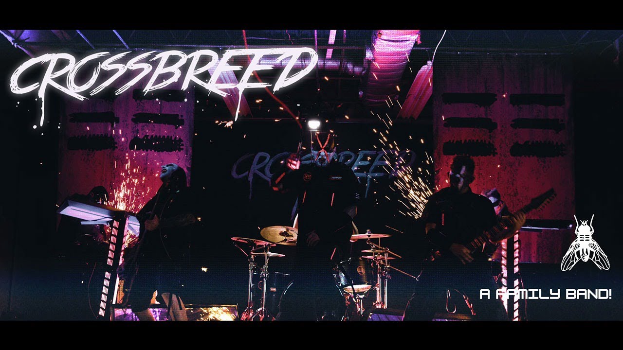 PipemanRadio Interviews CROSSBREED About Inkcarceration and New Music