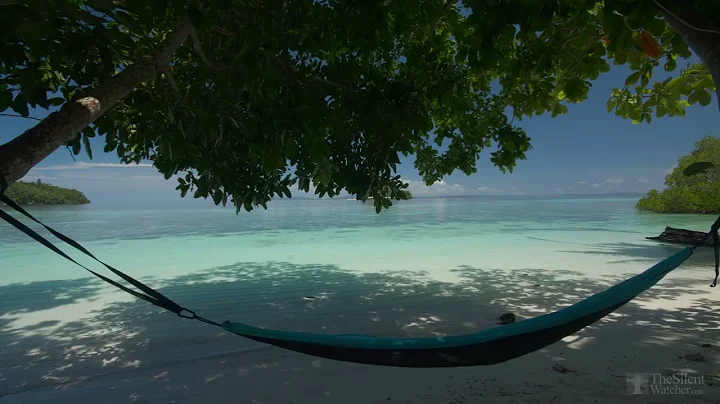 4K HDR Tropical Beach - Gentle Ocean Wave Sounds - Peaceful Wild Island   Relaxing Nature Video