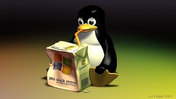 linux workflow of a regular everyday normal guy #4BugsWriter
