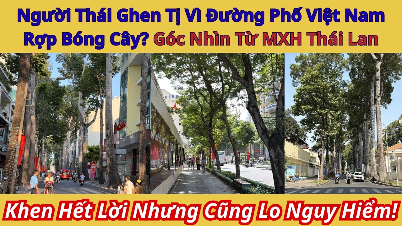 Người Thái Ghen Tị Vì Đường Phố Việt Nam Rợp Bóng Cây? Góc Nhìn Từ MXH Thái Lan