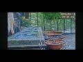久しぶりのアオダイショウ給水通過！25:09:18