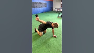 Quadruped 1-arm Horizontal Abduction