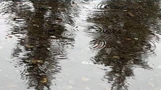 Scenes of spring in western Washington