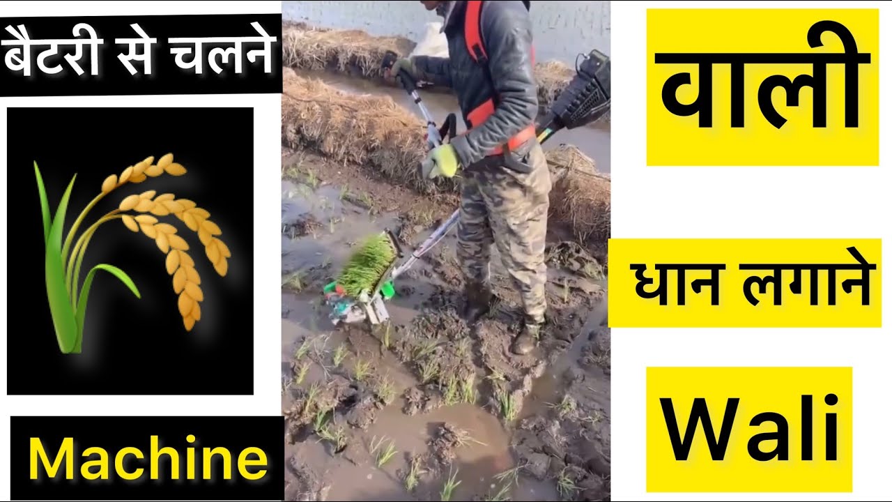 Paddy lagana ki machine || Paddy Planter Machine Future Farming India